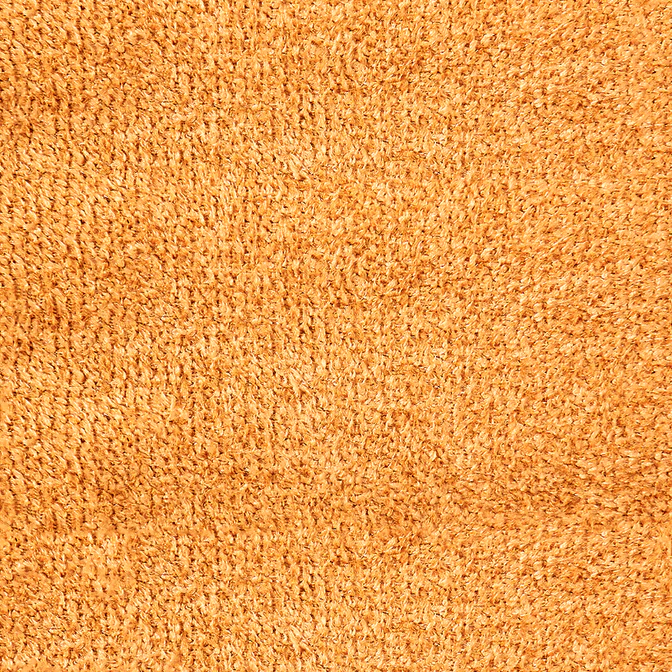 05 - Zucca