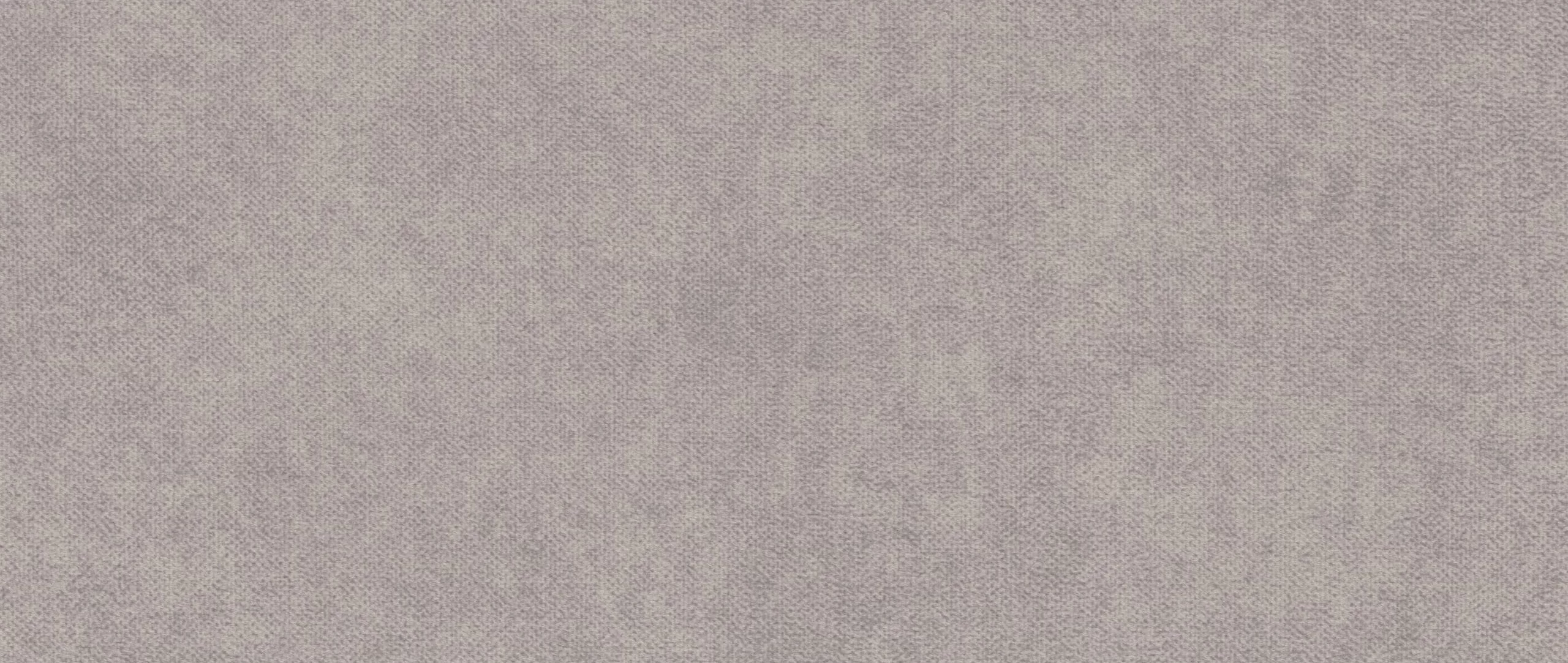 81